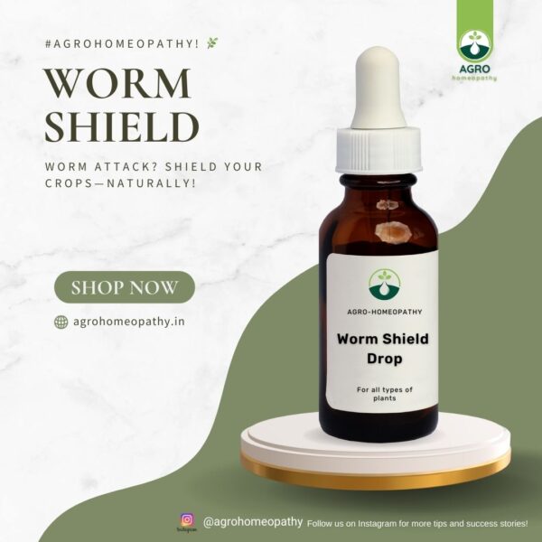 Worm shield Drop