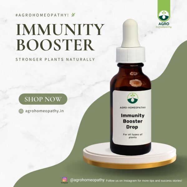 Immunity Booster Drop